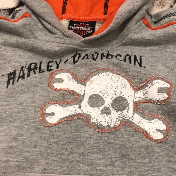 🔥HOST PICK!!🔥HARLEY-DAVIDSON Hoodie - Picture 3 of 6